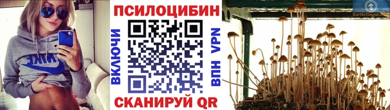 Галлюциногенные грибы Magic Shrooms OMG онион Чаплыгин