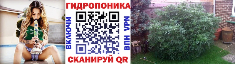 Марихуана конопля  купить   Чаплыгин 